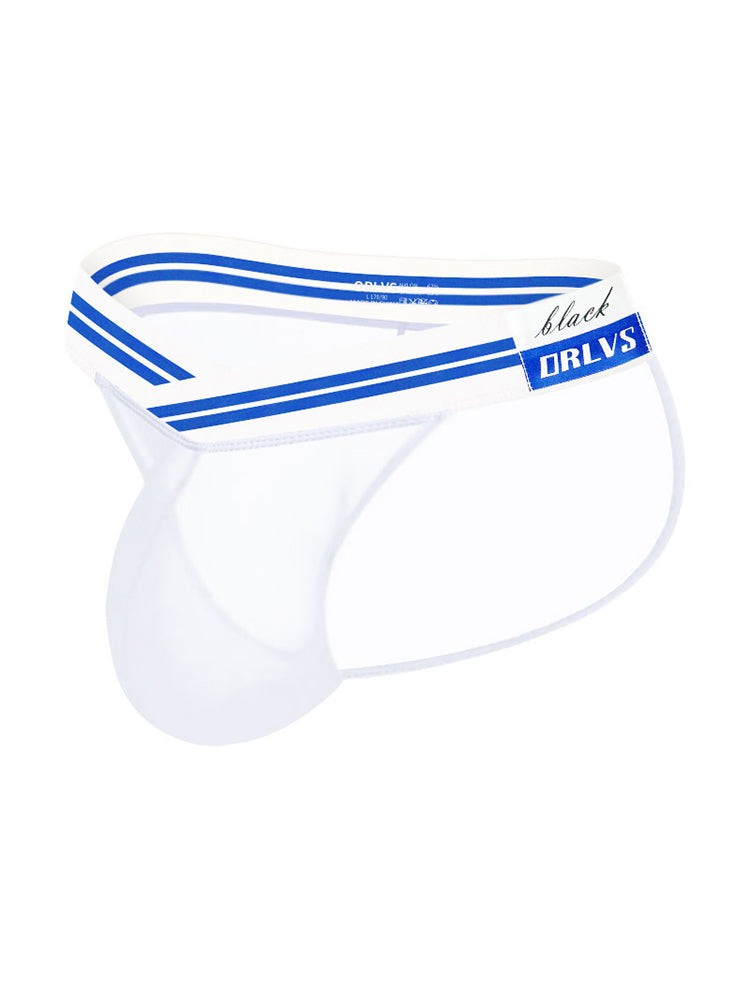 メンズセクシー半透明メッシュブリーフ2枚組