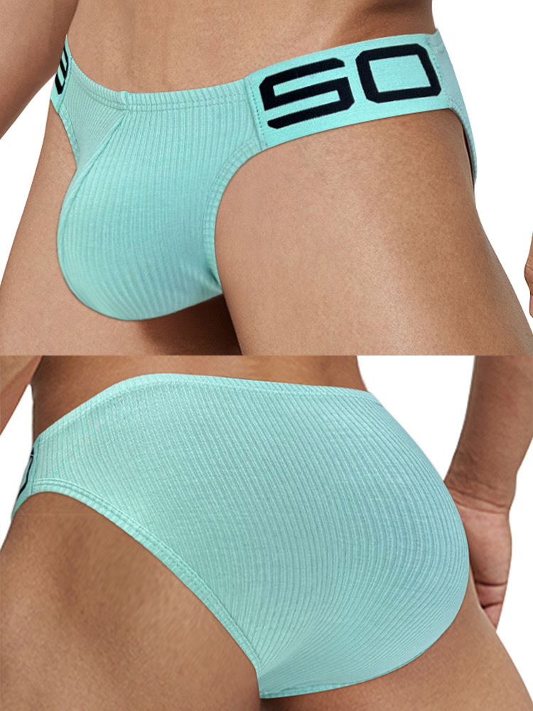 2 Pack Men's Sexy Threaded Fabric Bikinis