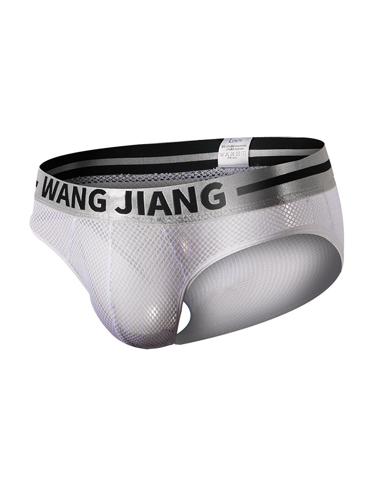 2 Pack Men's Sexy Mesh Sheer Briefs with U-Shaped Pocket