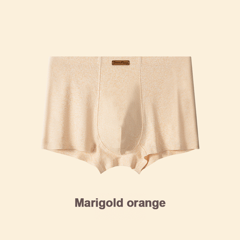 エレガントなシルクメンズアイスシルクアンダーウェア、マルベリーシルク抗菌メンズボクサーブリーフ