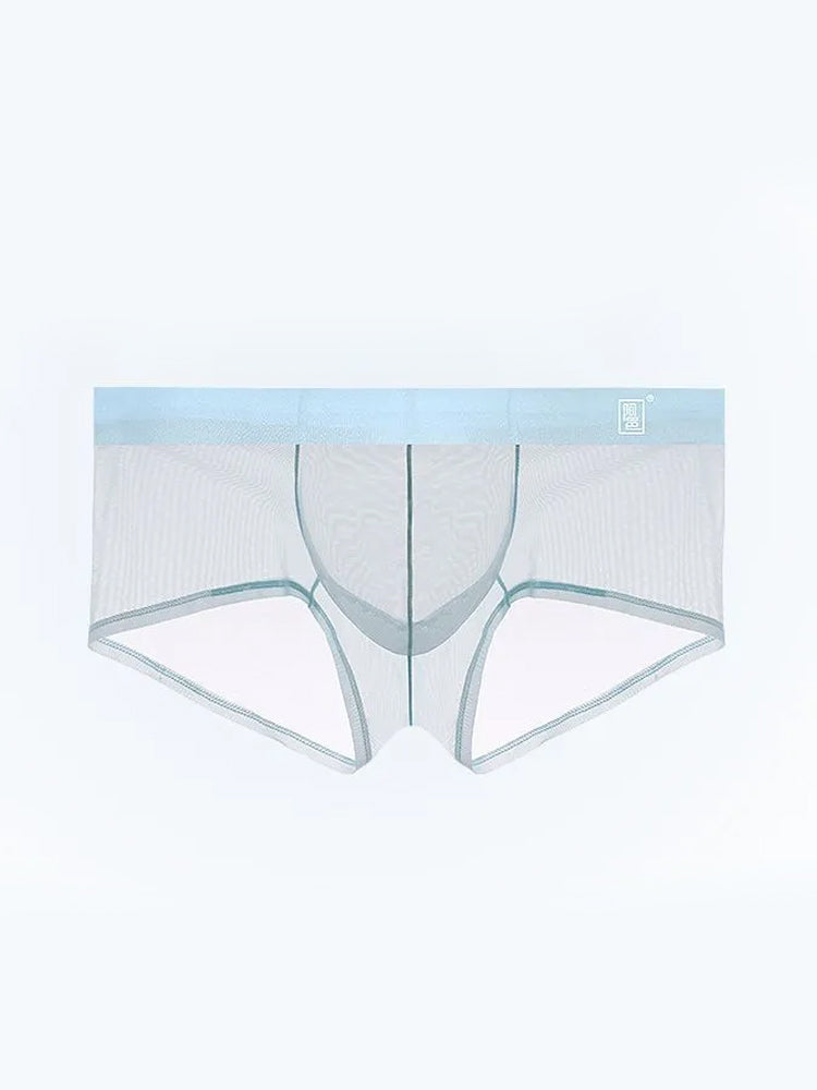 Men's Ultra-thin Low-Rise See-Through Ice Silk Briefs