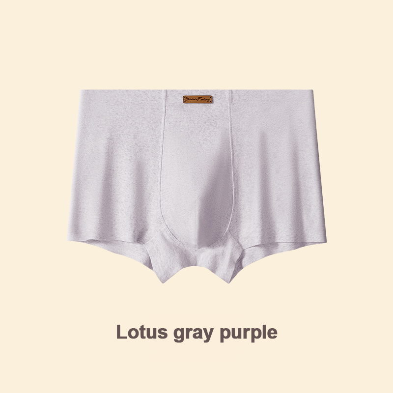 エレガントなシルクメンズアイスシルクアンダーウェア、マルベリーシルク抗菌メンズボクサーブリーフ