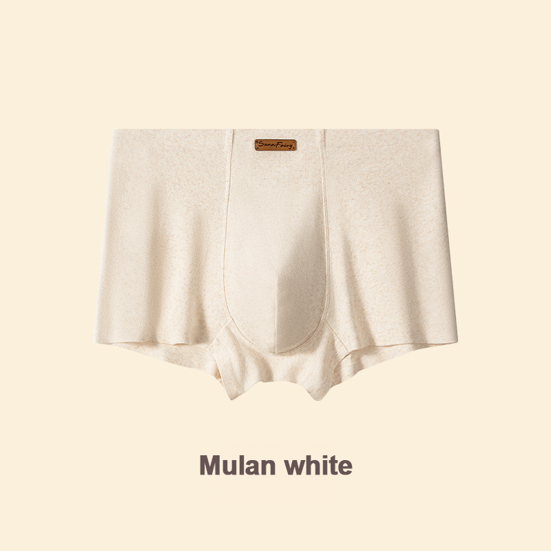 エレガントなシルクメンズアイスシルクアンダーウェア、マルベリーシルク抗菌メンズボクサーブリーフ