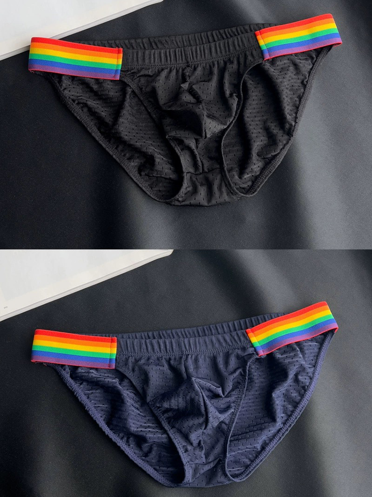 Men's Sexy Rainbow Pride Mesh Bikini