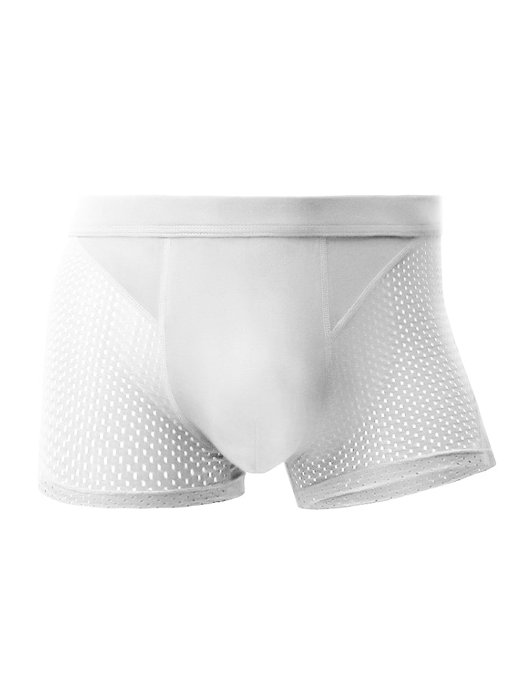 Men's Thin Breathable Mesh Trunks
