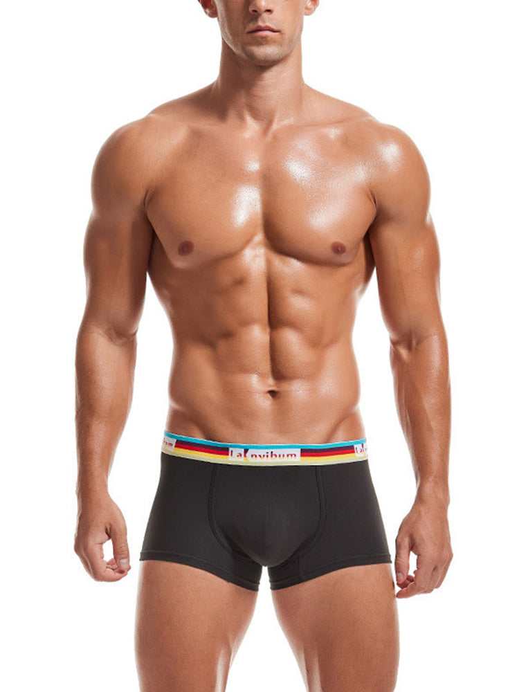Men's U Pouch Rainbow Pride Underwear