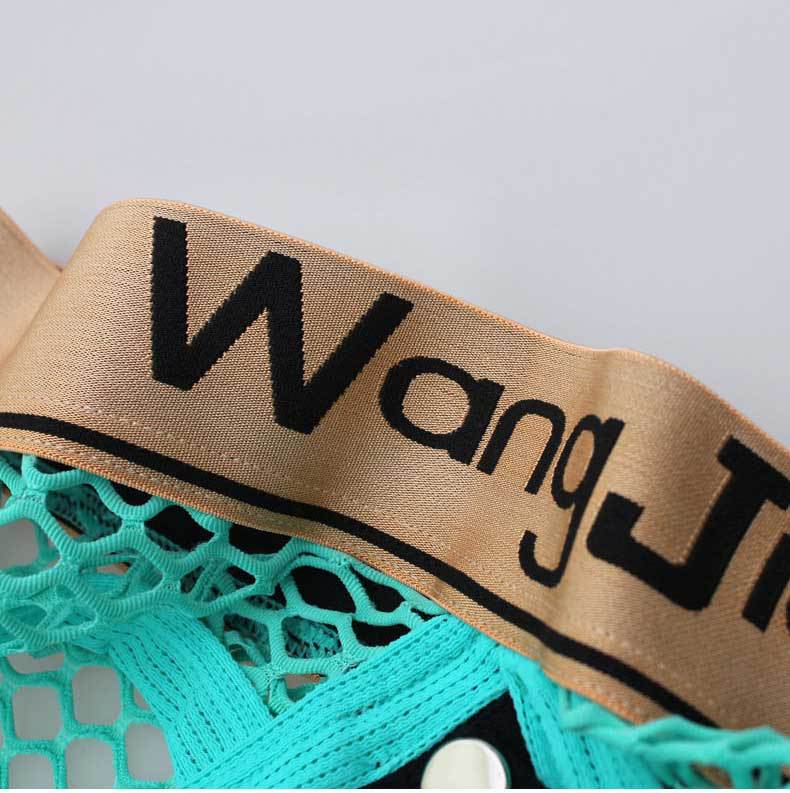 Mens Sexy Mesh Breathable U Convex Pouch Briefs