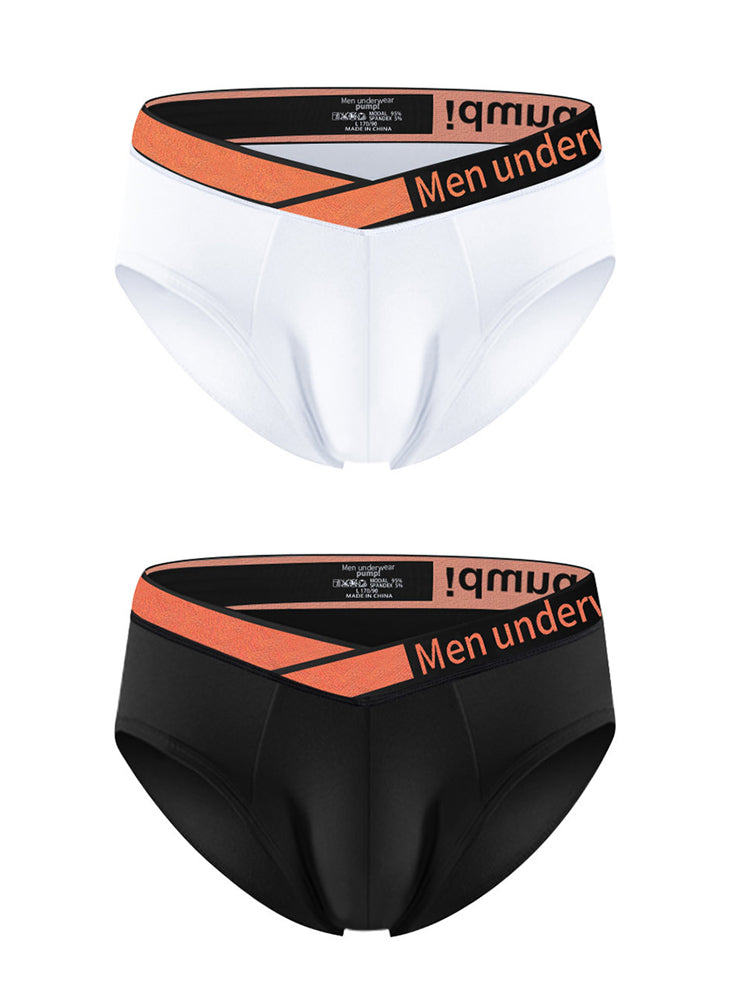 2 Pack Men's Stylish V-Shaped Waistband Briefs