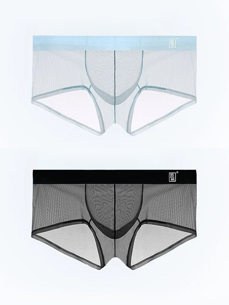 Men's Ultra-thin Low-Rise See-Through Ice Silk Briefs