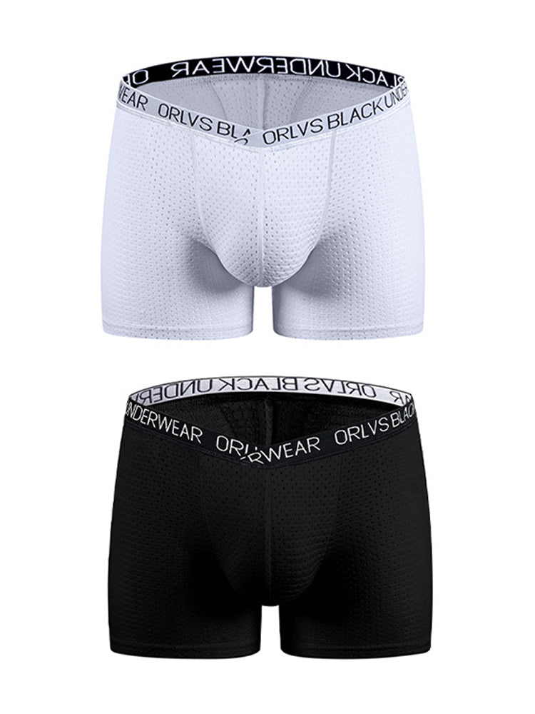2 Pack Men's Sexy V-shape Waistband Mesh Trunks