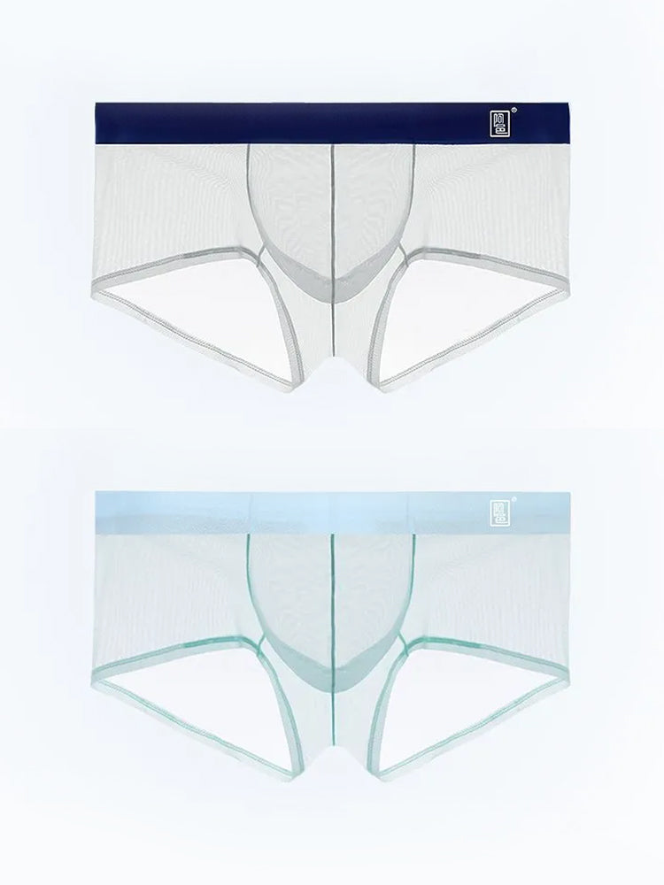 Men's Ultra-thin Low-Rise See-Through Ice Silk Briefs