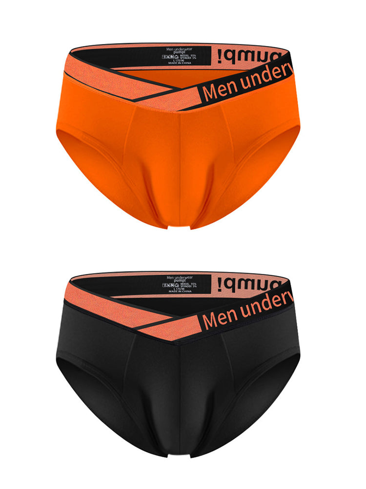 2 Pack Men's Stylish V-Shaped Waistband Briefs