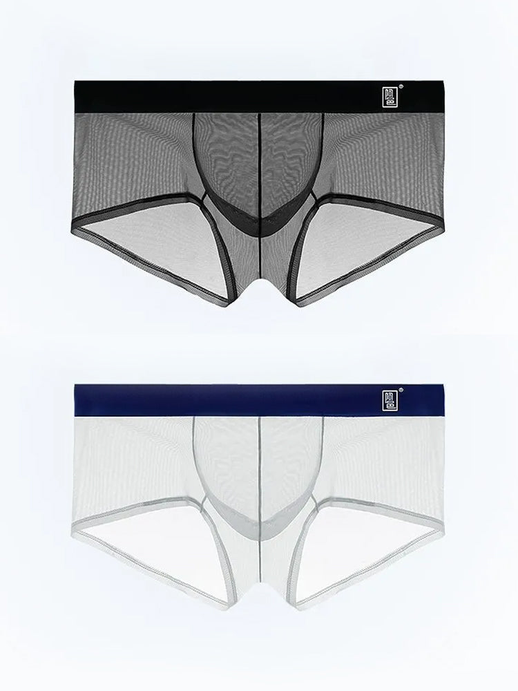 Men's Ultra-thin Low-Rise See-Through Ice Silk Briefs