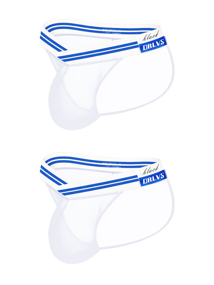 メンズセクシー半透明メッシュブリーフ2枚組