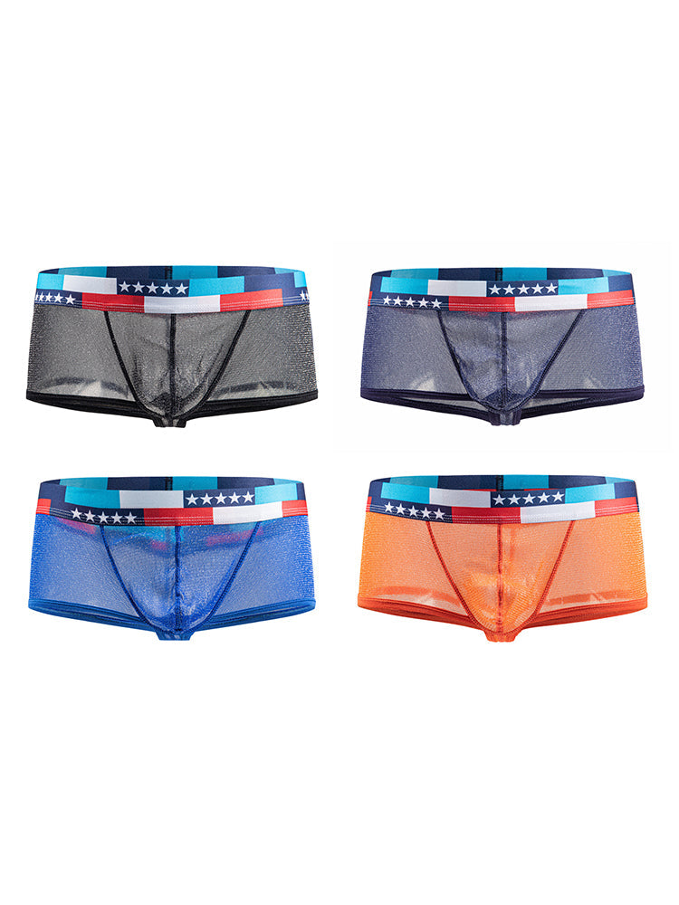 4-pack Men's Low-rise See-through Micro-mesh Pouch Shiny U-convex Wide-edge Boxer Briefs