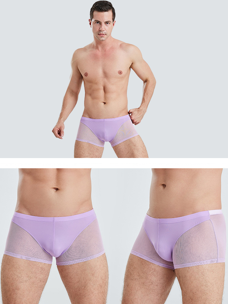 Sexy Panelled Mesh Trunks For Men