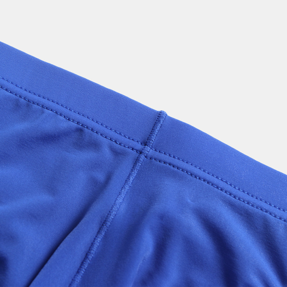 Low Waist Ice Silk Transparent Seamless Underwear