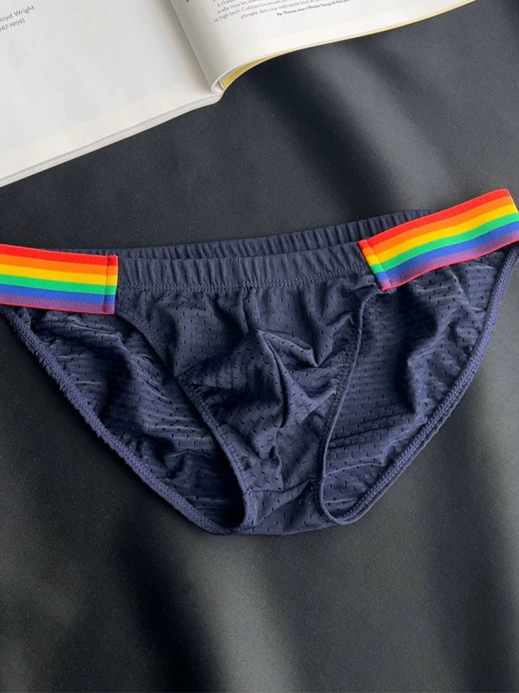 Men's Sexy Rainbow Pride Mesh Bikini