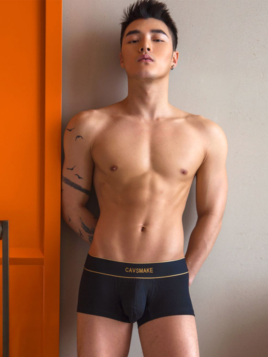 メンズ コットン セクシー U字凸デザイン ブリーフ＆トランクス 2枚組