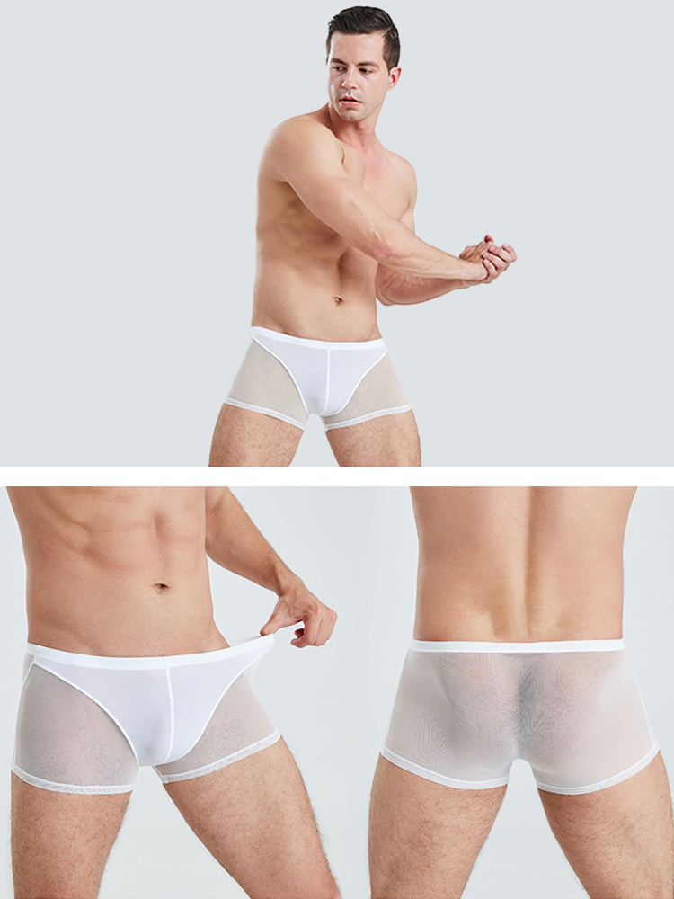 Sexy Panelled Mesh Trunks For Men