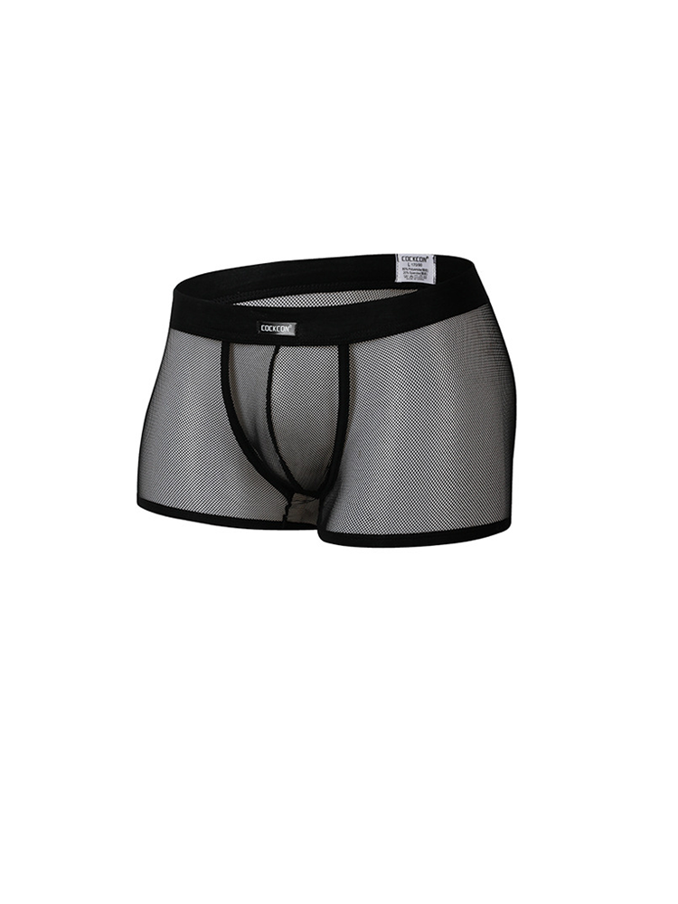Men's Sexy Transparent Mesh Trunks