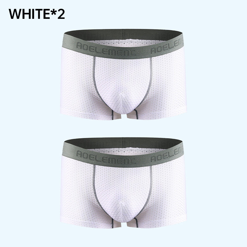 🏆Enjoy the highest quality🏆Summer Men's Breathable Mesh Cooling Panties