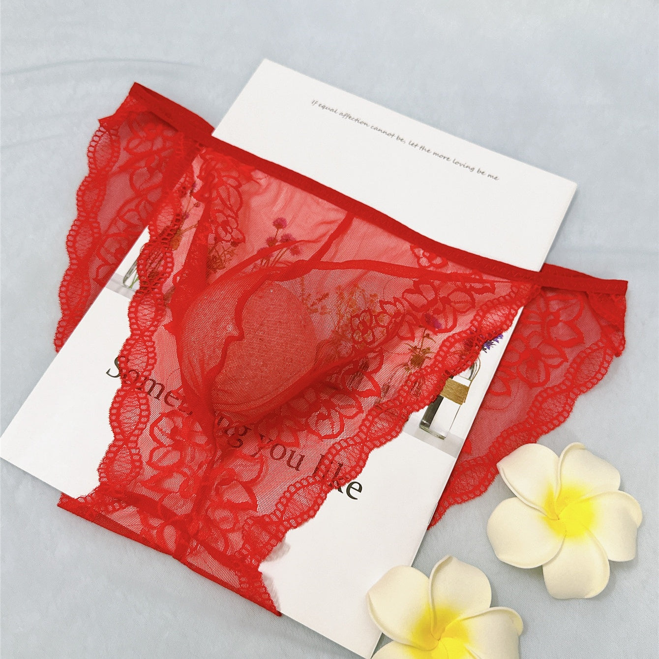 Men's Sexy Lace See Through Sheer Briefs