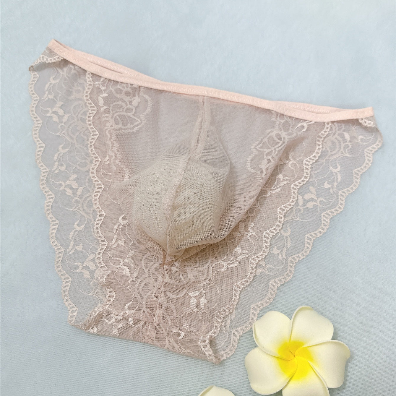 Men's Sexy Lace See Through Sheer Briefs